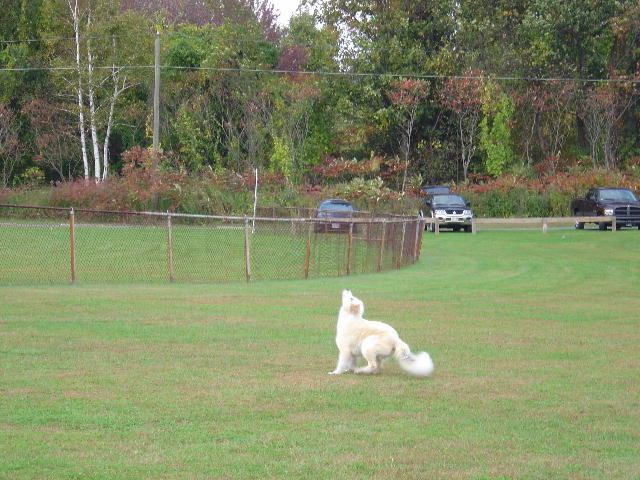 Here I am fielding a high Cloud Hunter...no problem